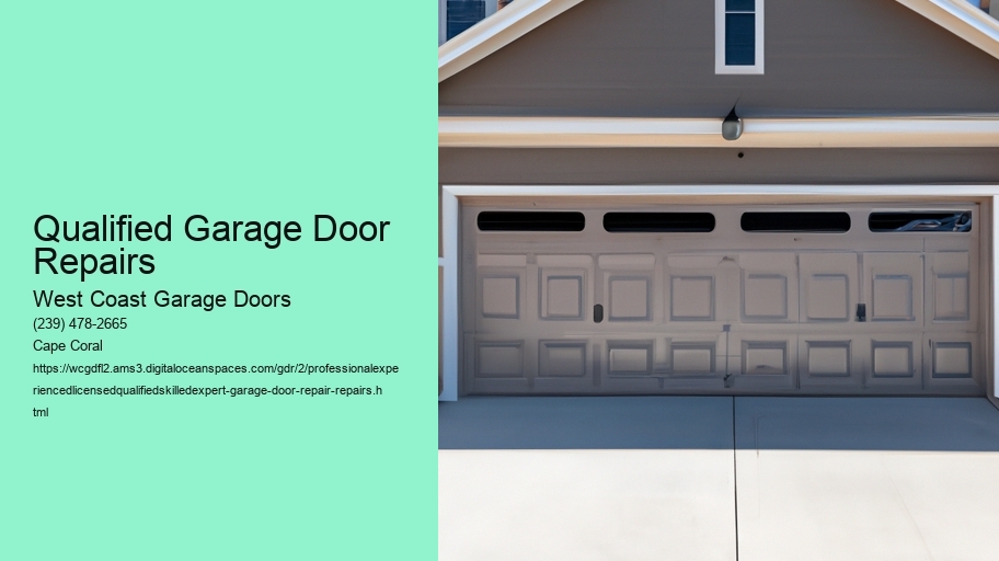 Professional Garage Door Repair 