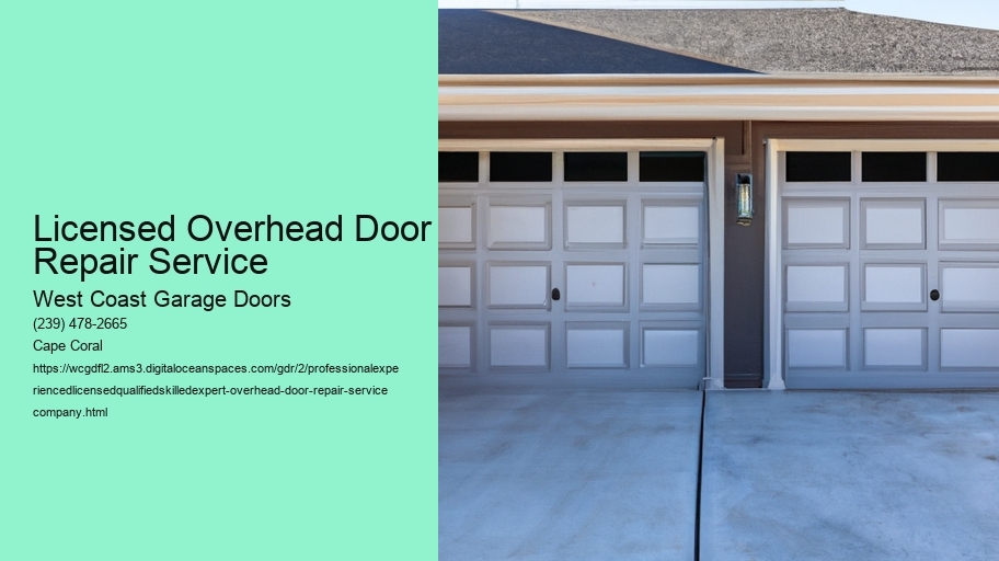 Professional Overhead Door Repair Company